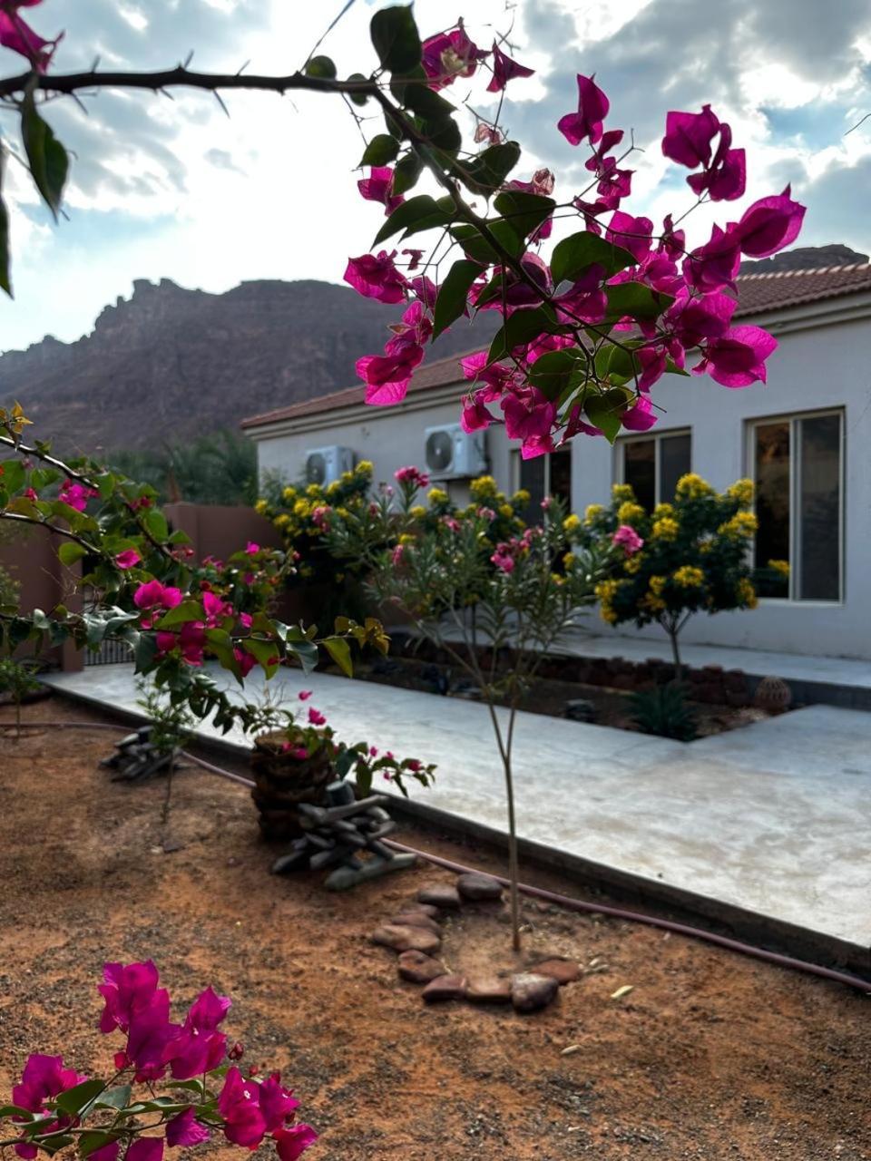 فيلا بمزرعة Al-'Ula Exteriör bild